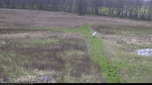 Cell 1 to 2_24-04-19_14-43-38-31