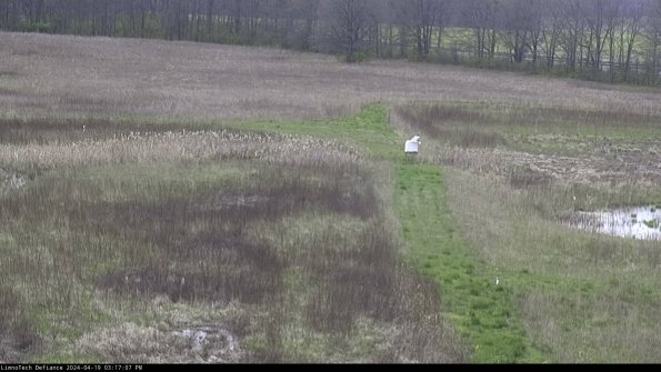 Cell 1 to 2_24-04-19_15-17-08-33