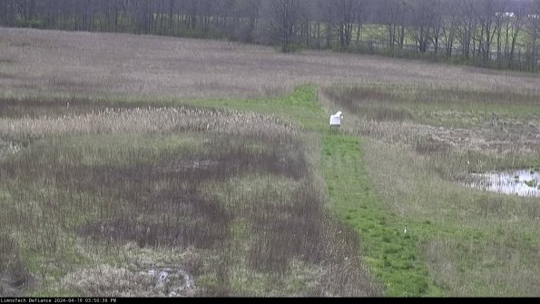 Cell 1 to 2_24-04-19_15-50-37-34