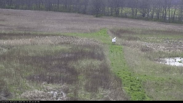 Cell 1 to 2_24-04-19_16-24-07-33