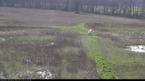 Cell 1 to 2_24-04-19_17-31-05-33