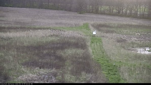 Cell 1 to 2_24-04-19_19-45-03-33