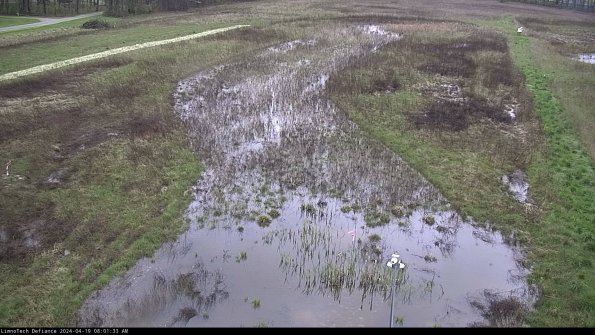 Cell 1_24-04-19_08-01-34-38