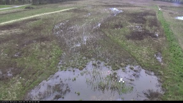 Cell 1_24-04-19_09-42-03-32