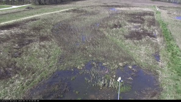 Cell 1_24-04-19_10-49-01-33