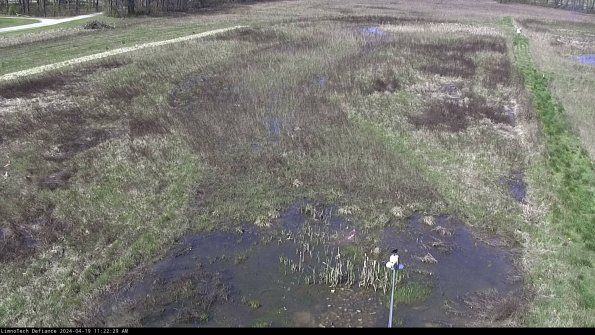 Cell 1_24-04-19_11-22-30-31