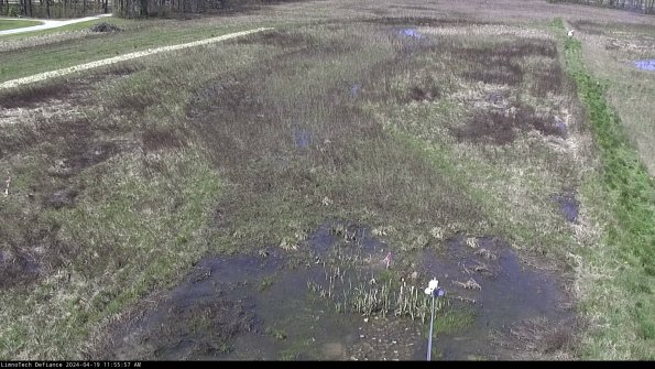 Cell 1_24-04-19_11-55-58-33