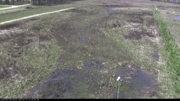 Cell 1_24-04-19_12-29-27-32