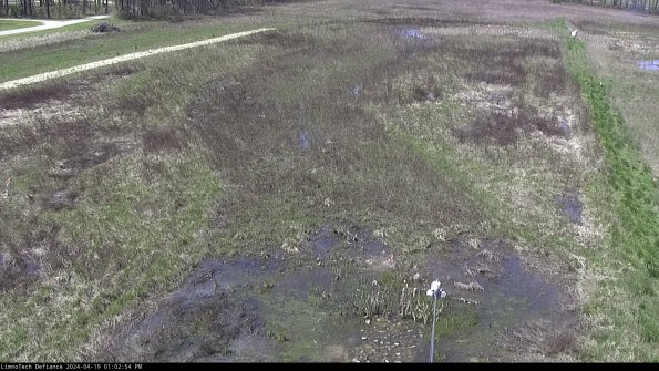 Cell 1_24-04-19_13-02-55-33