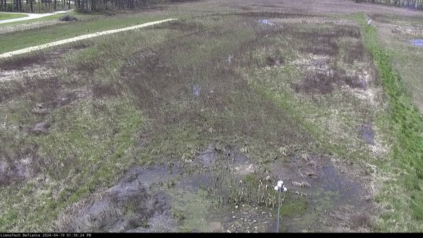 Cell 1_24-04-19_13-36-25-35