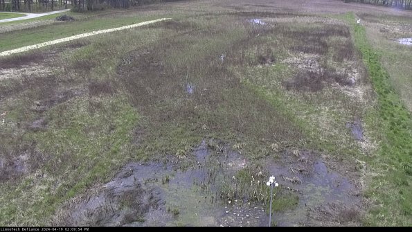 Cell 1_24-04-19_14-09-55-34