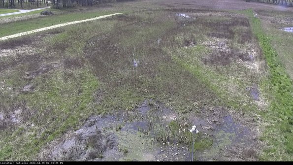 Cell 1_24-04-19_14-43-24-33