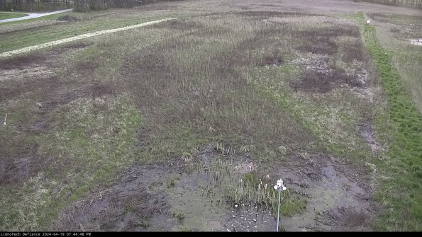 Cell 1_24-04-19_19-44-49-32