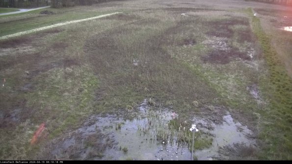 Cell 1_24-04-19_20-18-19-31