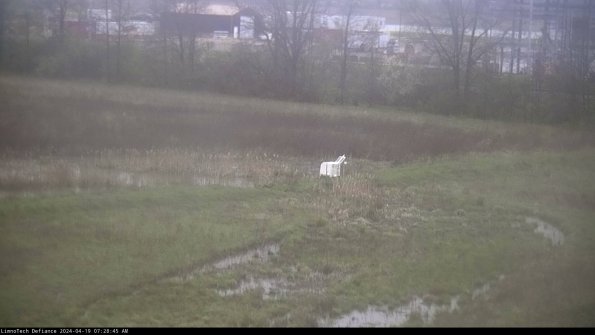 Cell 2 to 3_24-04-19_07-28-46-37