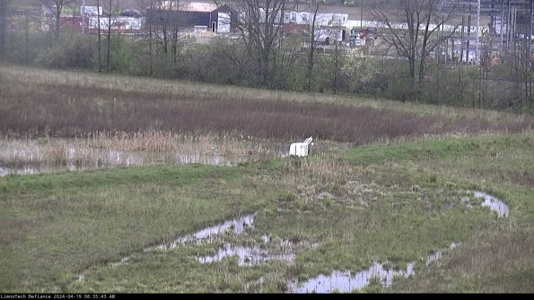 Cell 2 to 3_24-04-19_08-35-44-40