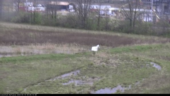 Cell 2 to 3_24-04-19_09-09-13-51