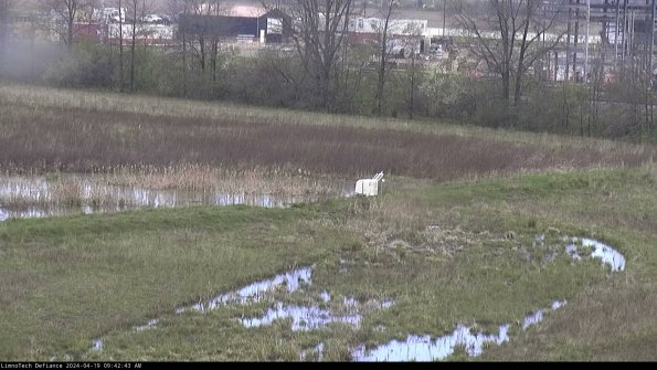 Cell 2 to 3_24-04-19_09-42-43-50