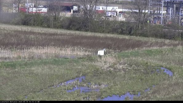 Cell 2 to 3_24-04-19_10-16-13-42