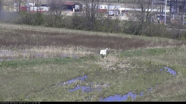 Cell 2 to 3_24-04-19_11-23-10-42