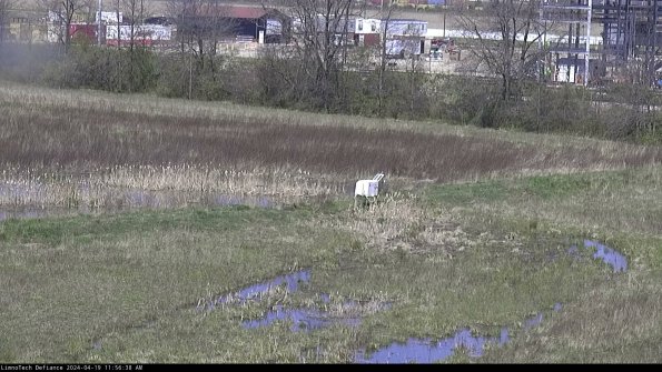 Cell 2 to 3_24-04-19_11-56-38-50