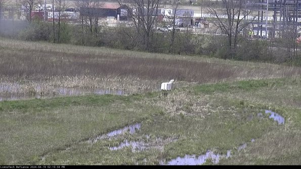 Cell 2 to 3_24-04-19_14-10-35-34