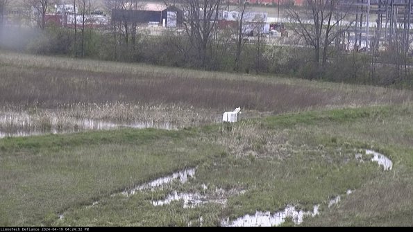 Cell 2 to 3_24-04-19_16-24-33-42