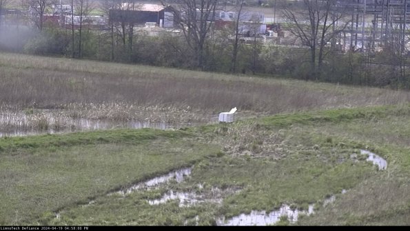 Cell 2 to 3_24-04-19_16-58-01-44