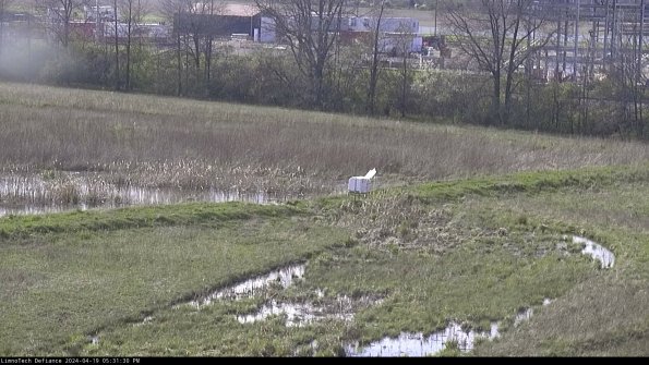 Cell 2 to 3_24-04-19_17-31-31-42