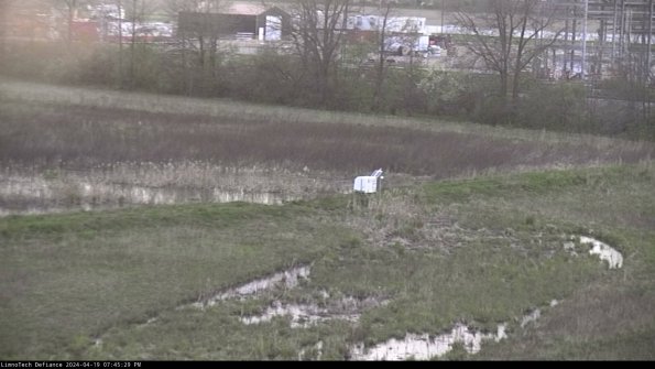 Cell 2 to 3_24-04-19_19-45-29-43