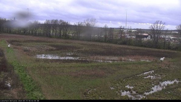 Cell 2_24-04-19_08-02-01-40