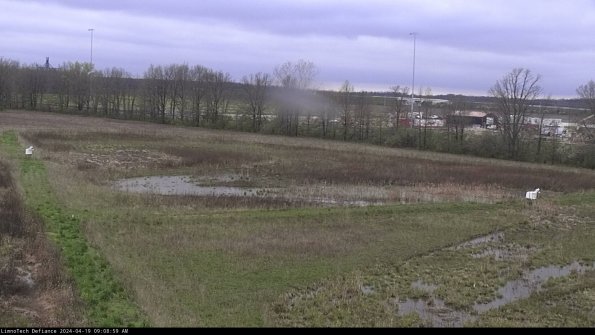 Cell 2_24-04-19_09-09-00-33