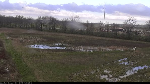 Cell 2_24-04-19_09-42-30-38