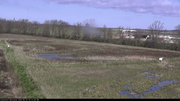 Cell 2_24-04-19_10-16-00-34