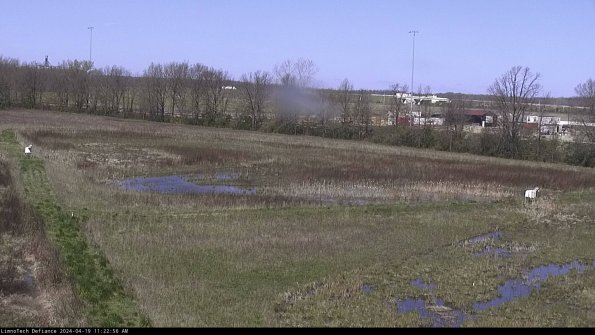 Cell 2_24-04-19_11-22-57-34