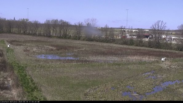 Cell 2_24-04-19_11-56-25-39