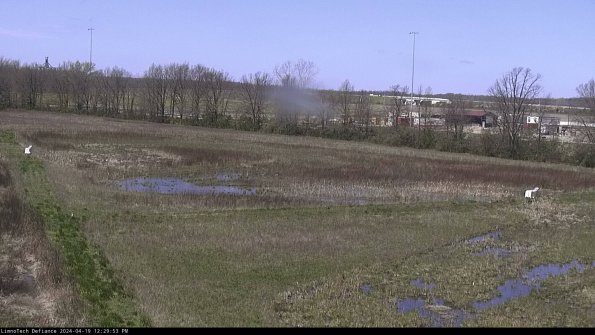 Cell 2_24-04-19_12-29-54-34