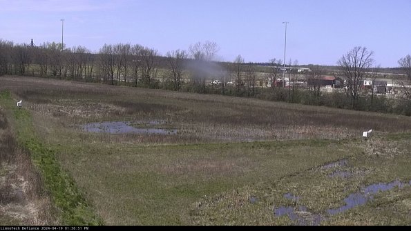 Cell 2_24-04-19_13-36-52-38