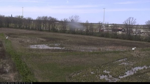 Cell 2_24-04-19_14-10-22-33