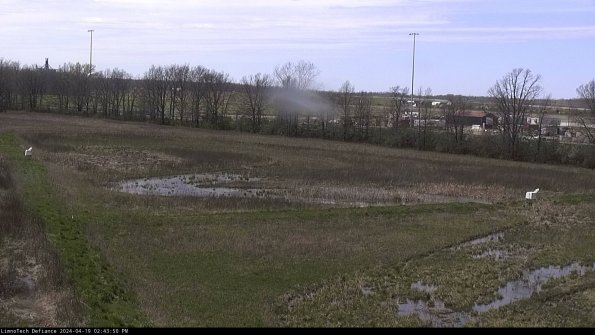 Cell 2_24-04-19_14-43-51-42