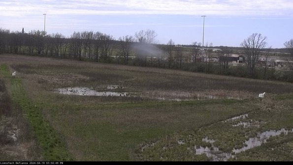 Cell 2_24-04-19_15-50-50-39