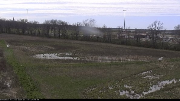 Cell 2_24-04-19_16-24-20-34