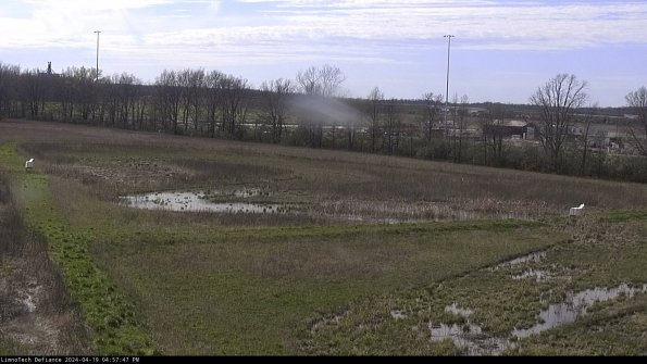 Cell 2_24-04-19_16-57-48-36