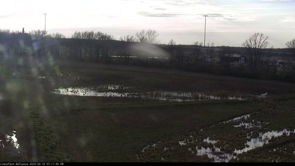 Cell 2_24-04-19_19-11-46-37