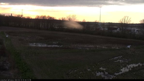 Cell 2_24-04-19_19-45-16-35