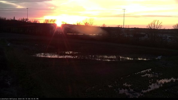 Cell 2_24-04-19_20-18-46-43