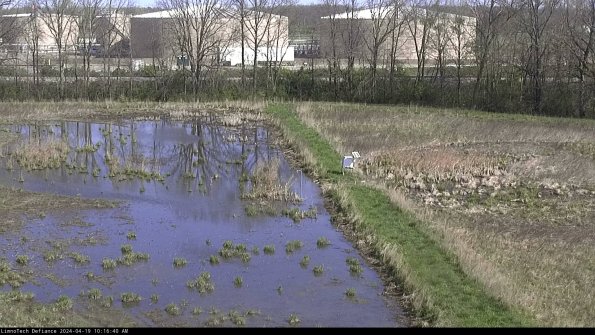 Cell 3 to 4_24-04-19_10-16-41-32