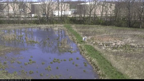 Cell 3 to 4_24-04-19_11-23-38-34