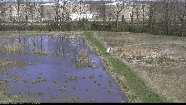 Cell 3 to 4_24-04-19_11-57-07-33