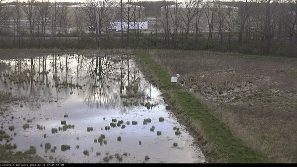 Cell 3 to 4_24-04-19_19-45-58-32